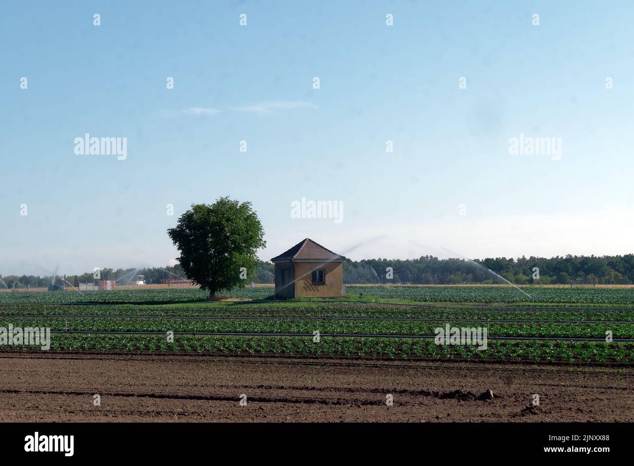 Food production in increasing heat and drought: vegetable fields ...