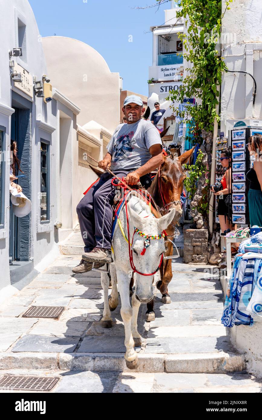 A Local Man Leads A Herd Of Donkeys Through The Town Of Oia, Santorini, Greek Islands, Greece. Stock Photo