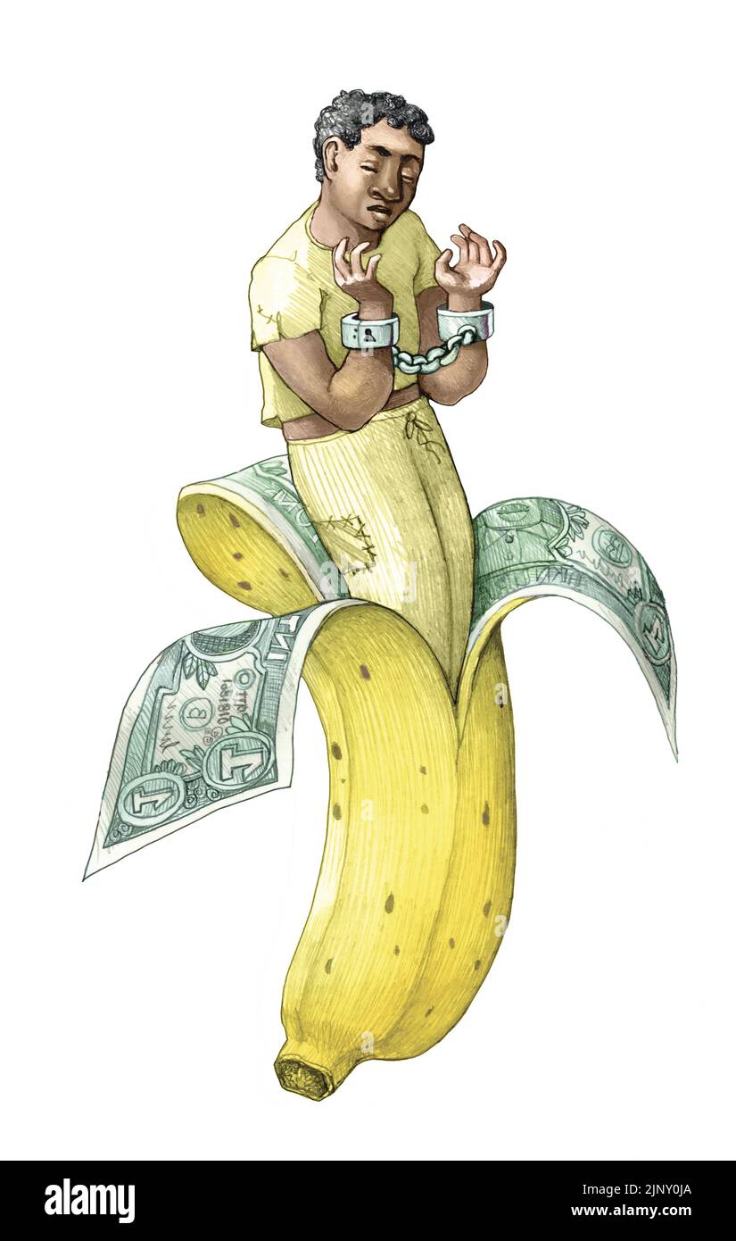 inside a peeled banana is a black slave allegory of  exploitation in intensive cultivation political illiustration Stock Photo