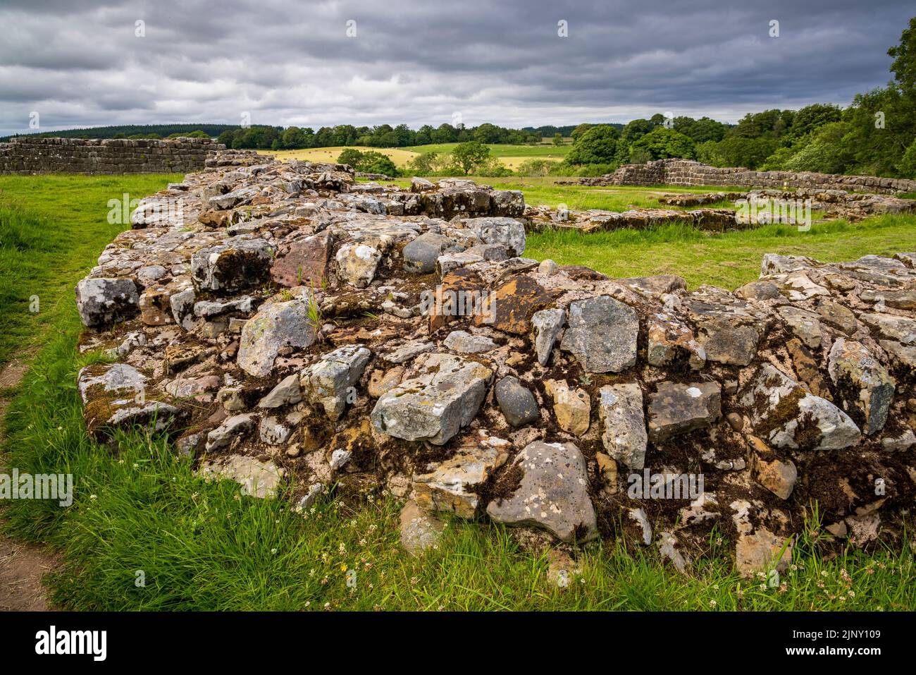 The south-west corner of Harrow's Scar - Milecastle 49 on Hadrian’s Wall near Birdoswald, Cumbria, England Stock Photo