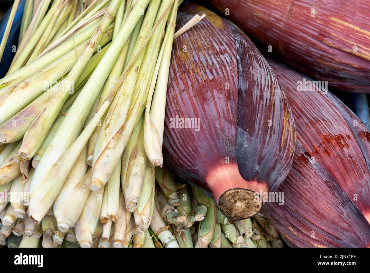 Banana flowers or banana blossoms and lemongrass Stock Photo Alamy