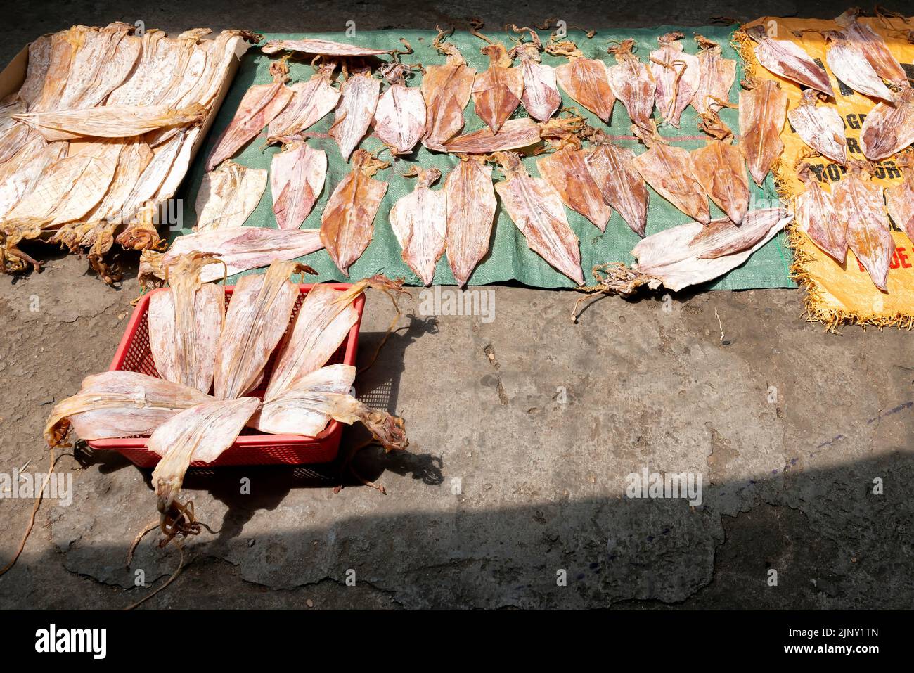 Sun-dried squid for sale on the street market Stock Photo