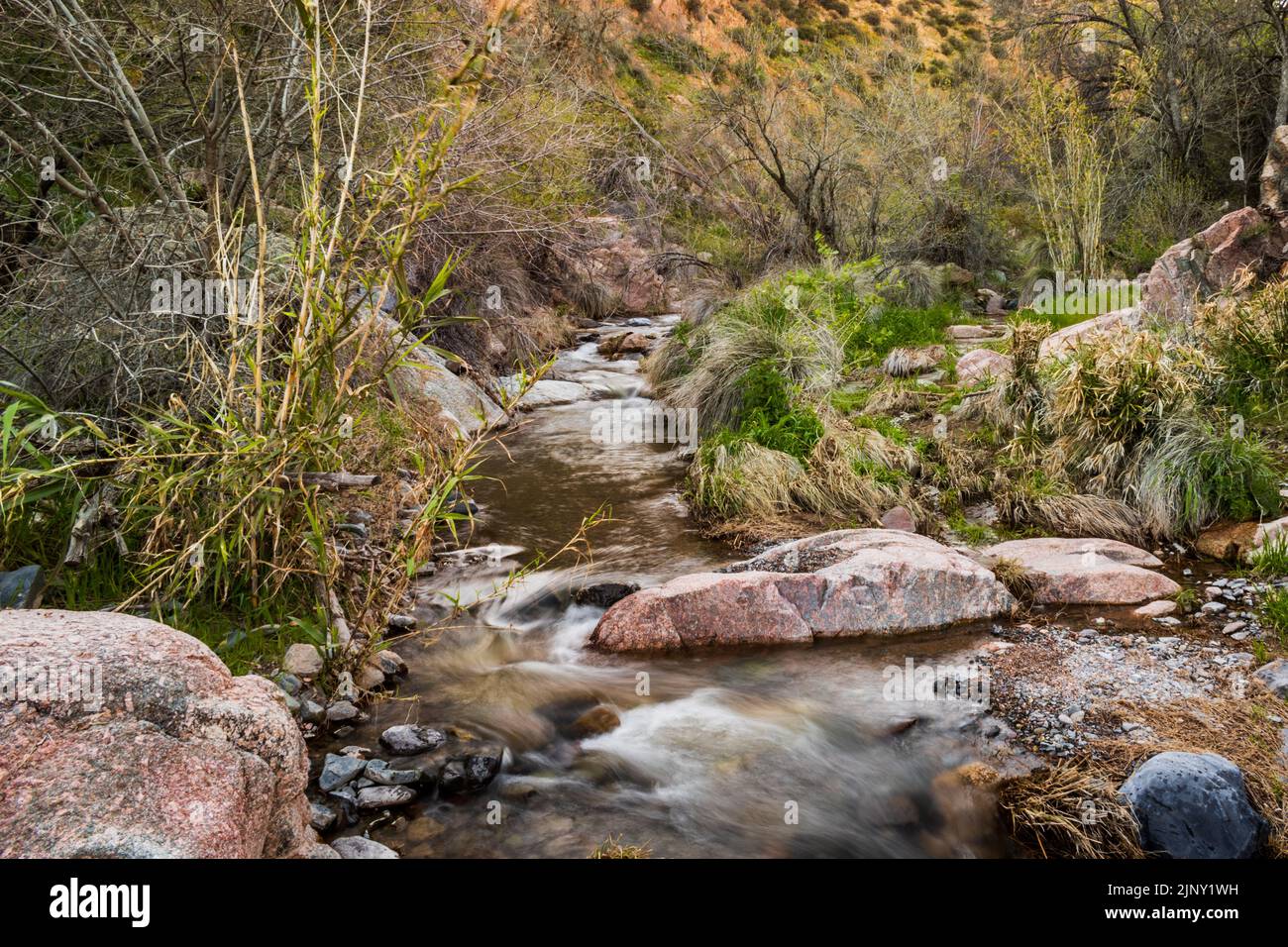 Water Flowing Away From Camp Creek Falls At Tonto National Forest North water-flowing-away-from-camp-creek-falls-at-tonto-national-forest-north