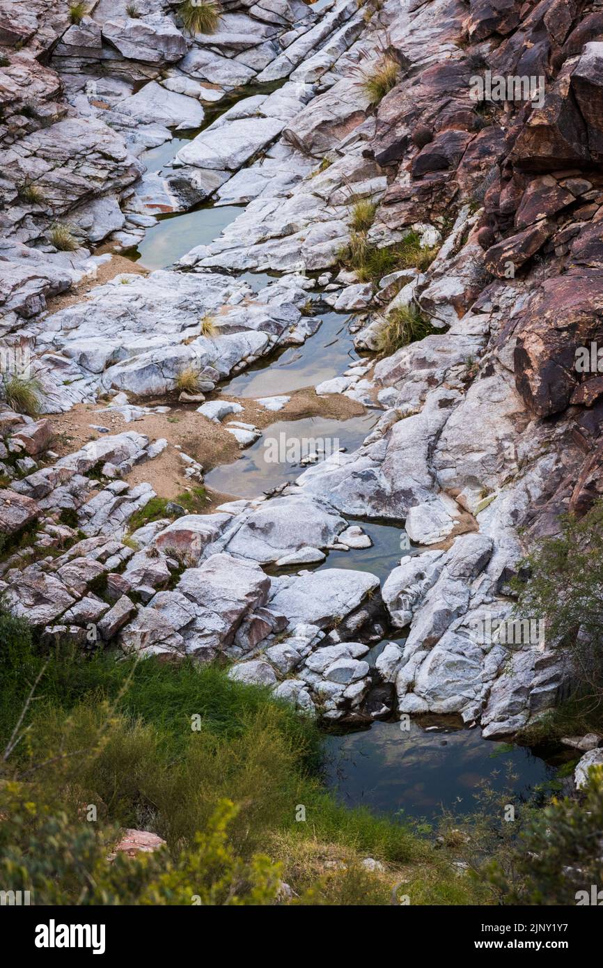 Puddles of water at White Tank Mountain Regional Park in Waddell
