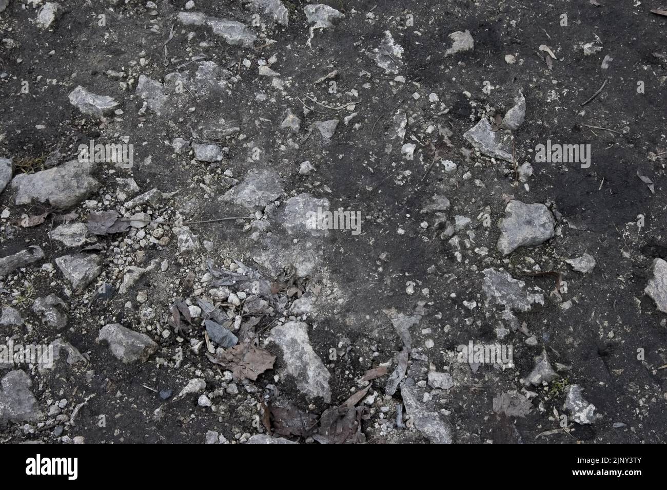 Gray dry soil with stones Stock Photo