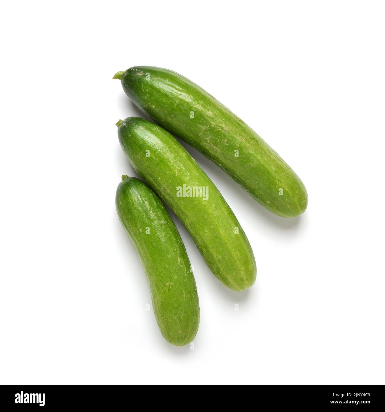 https://c8.alamy.com/comp/2JNY4C9/bite-size-cucumbers-from-above-isolated-on-white-2JNY4C9.jpg