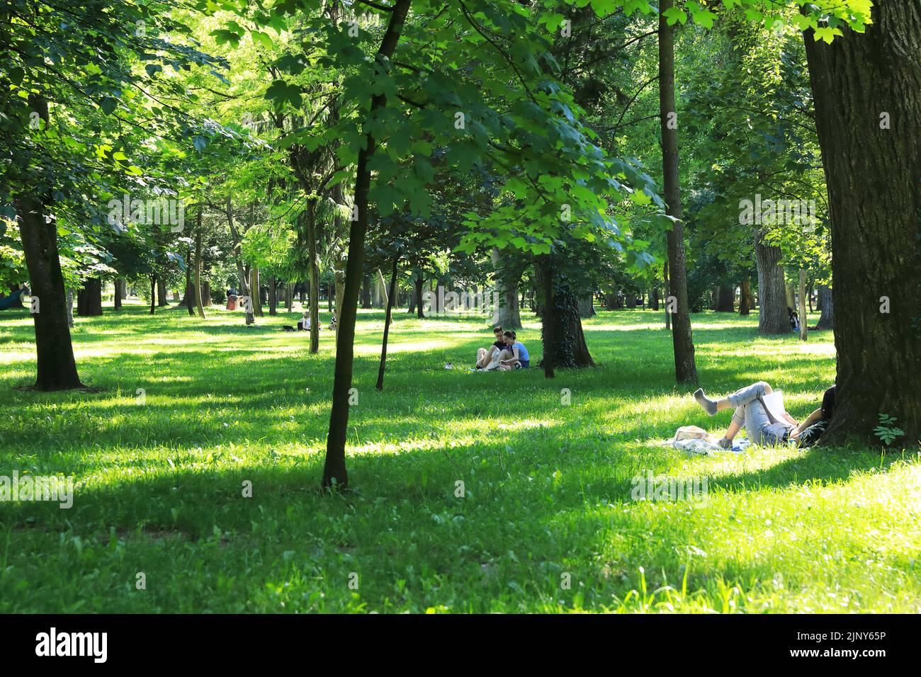 Summer in Central Park in Cluj-Napoca, the historical capital of Transylvania, Romania Stock Photo