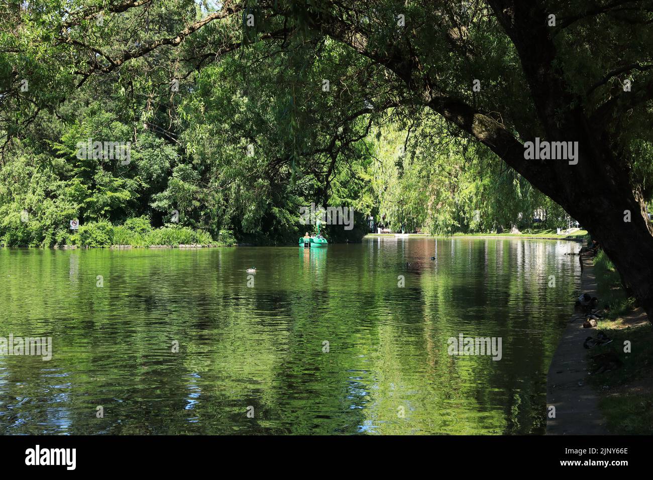 The boating lake in Central Park in Cluj-Napoca, the historic capital of Transylvania, Romania Stock Photo