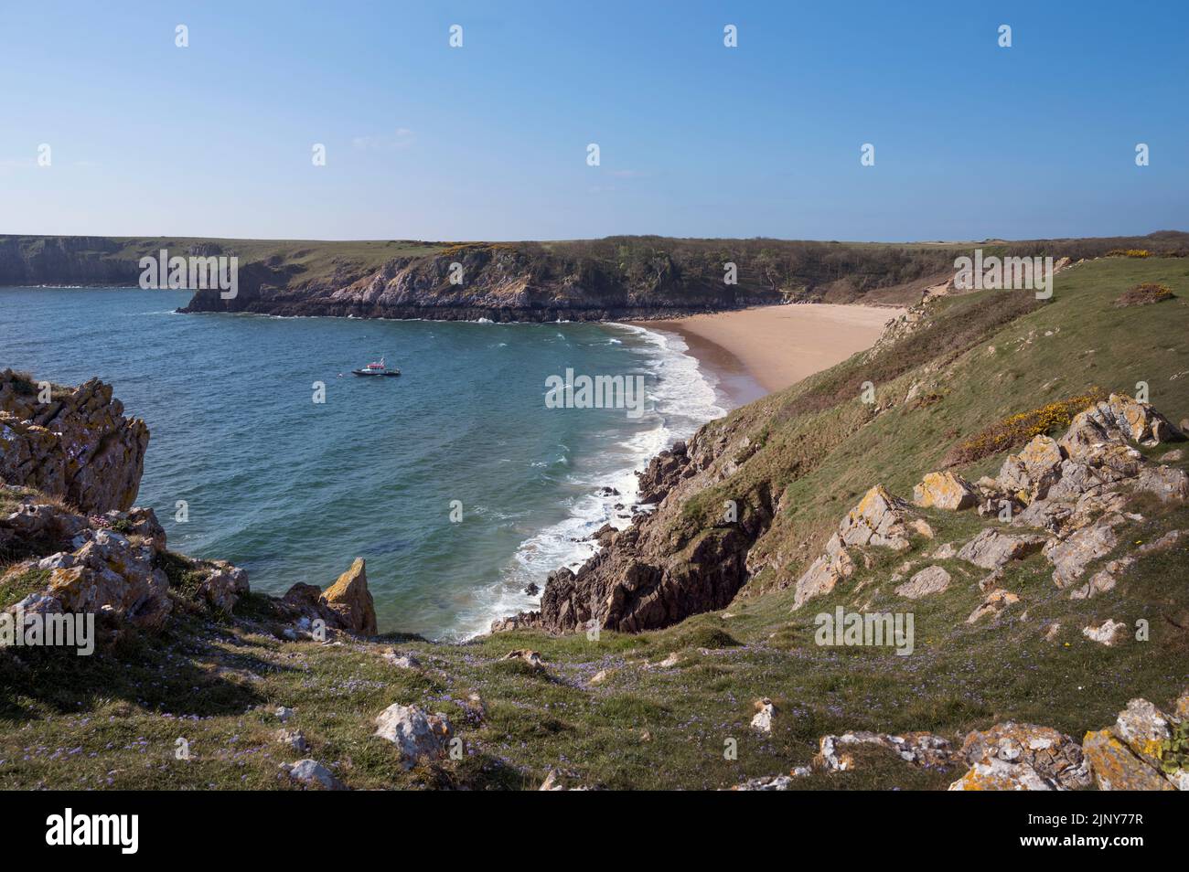 Pembrokshire beach at Barfundle bay viewed fro clifftop Stock Photo