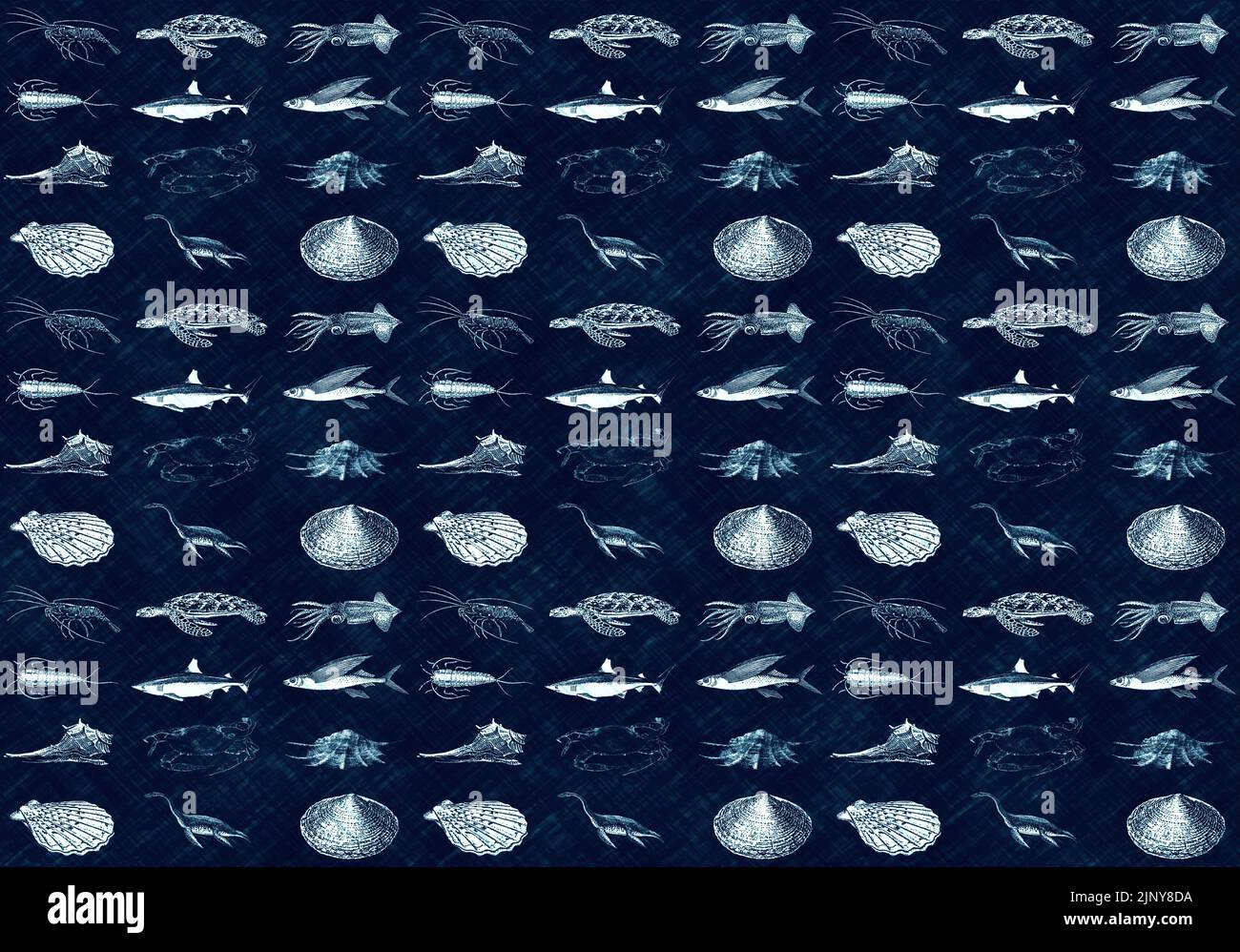 Fdlying Fish Pattern Black silhouette fish set hi-res stock photography and images - Alamy