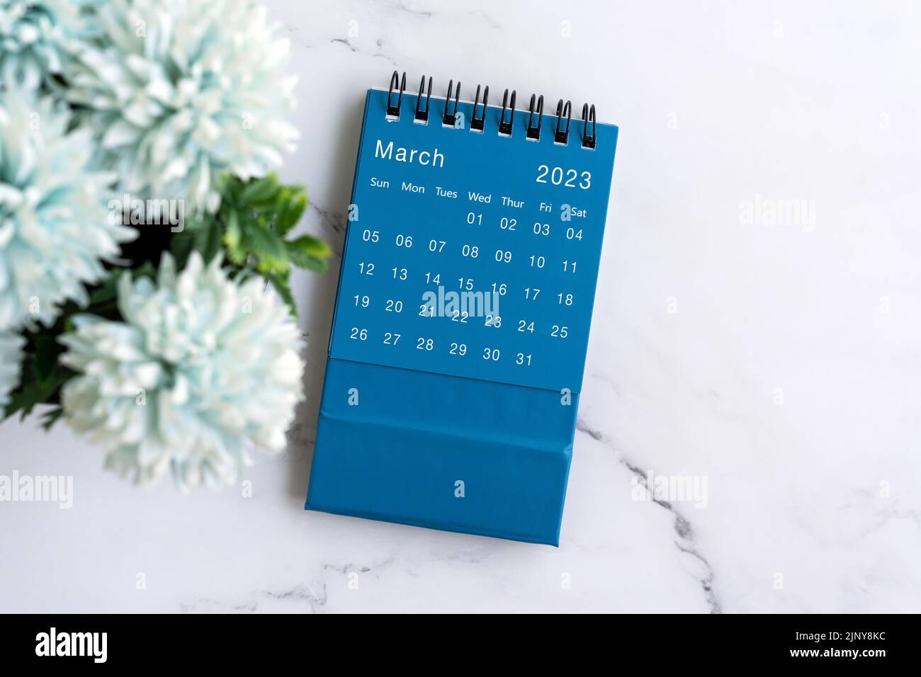March 2023 flat lay calendar with flower Stock Photo