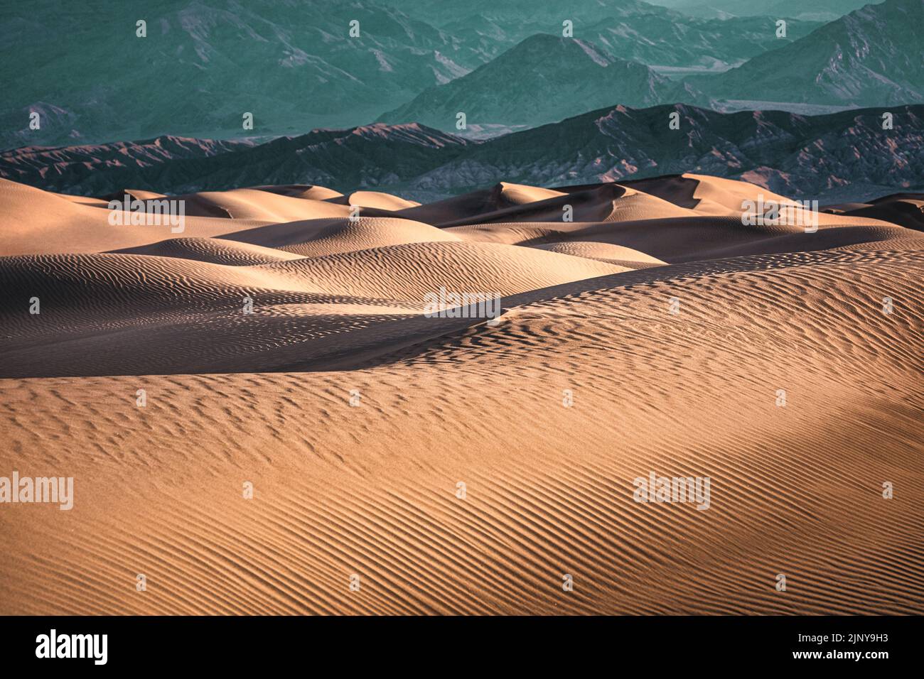 Mesquite Flat Sand Dunes stretch across the valley floor in Death Valley National Park, California. Stock Photo