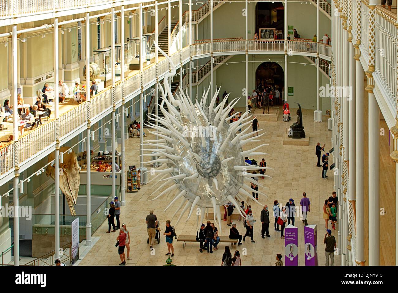 EDINBURGH CITY NATIONAL MUSEUM OF SCOTLAND A 90 FEET GIANT REPLICA OF AN E COLI BACTERIA Stock Photo