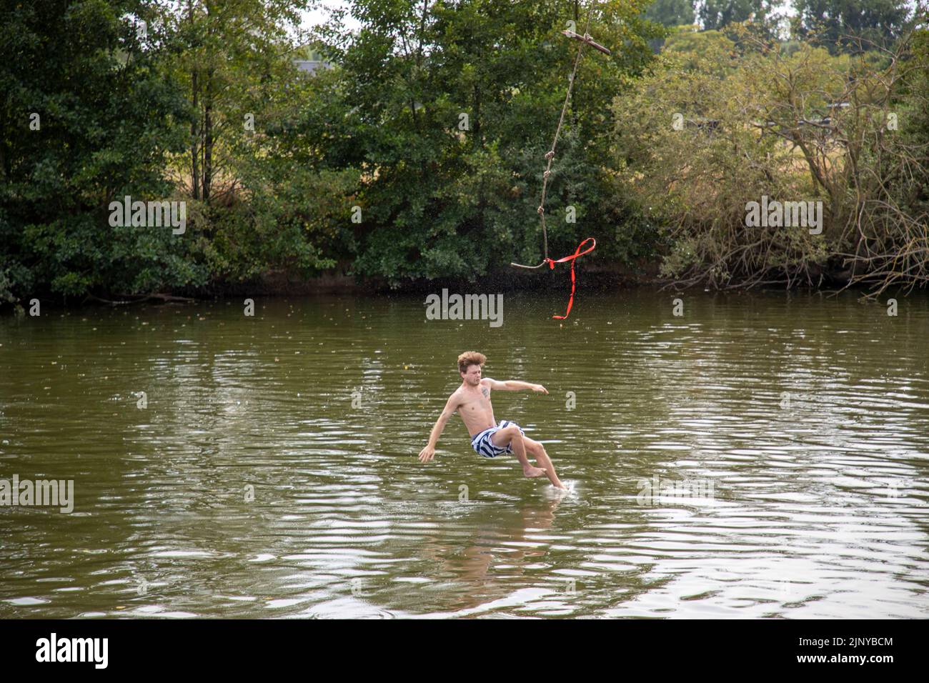 Illustration picture shows people enjoying being along water, jumping from a rope in a tree to