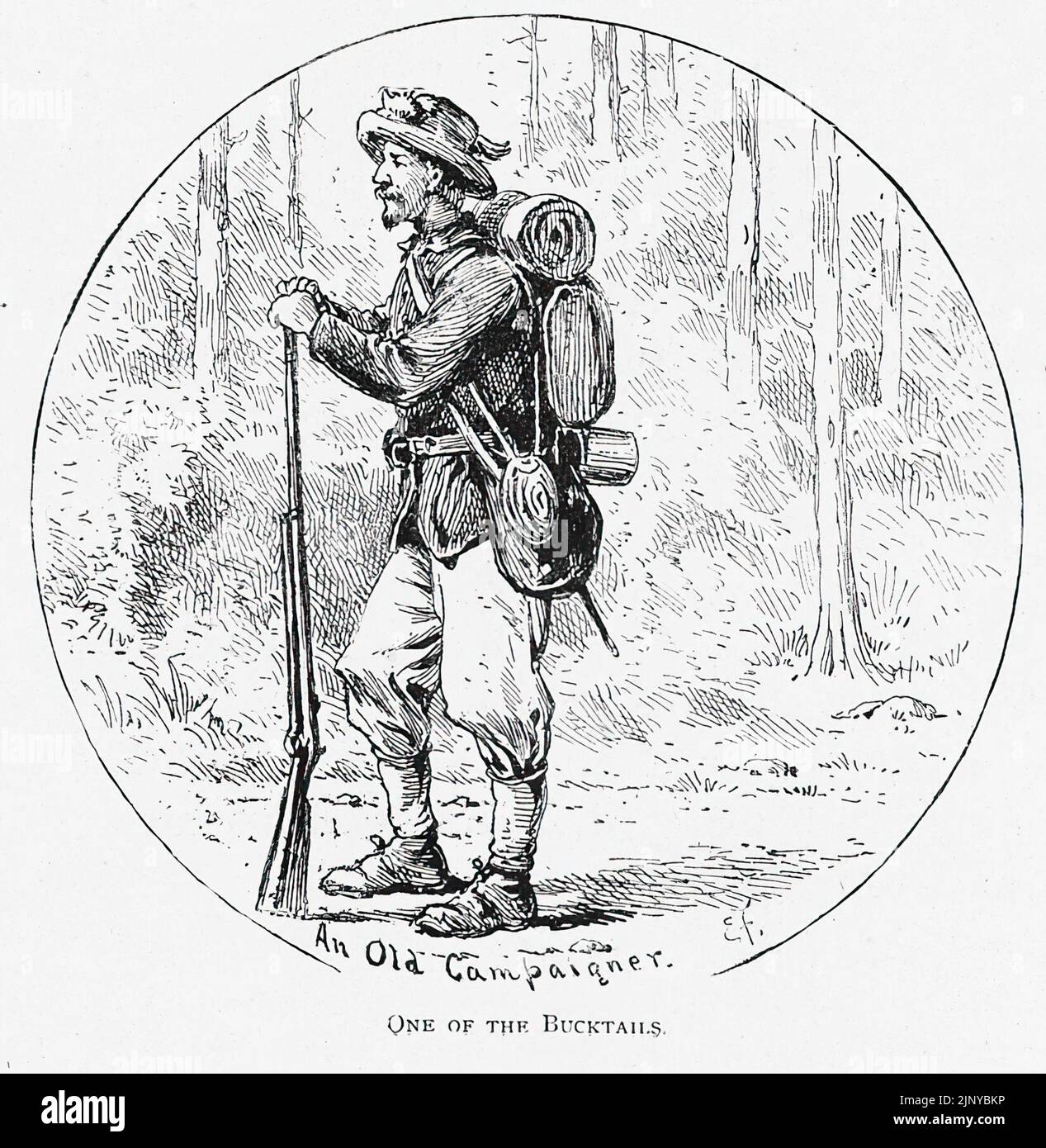 An Old Campaigner - One of the Bucktails. 13th Pennsylvania Reserve Regiment, Kane's Rifles. 19th century American Civil War illustration by Edwin Forbes Stock Photo
