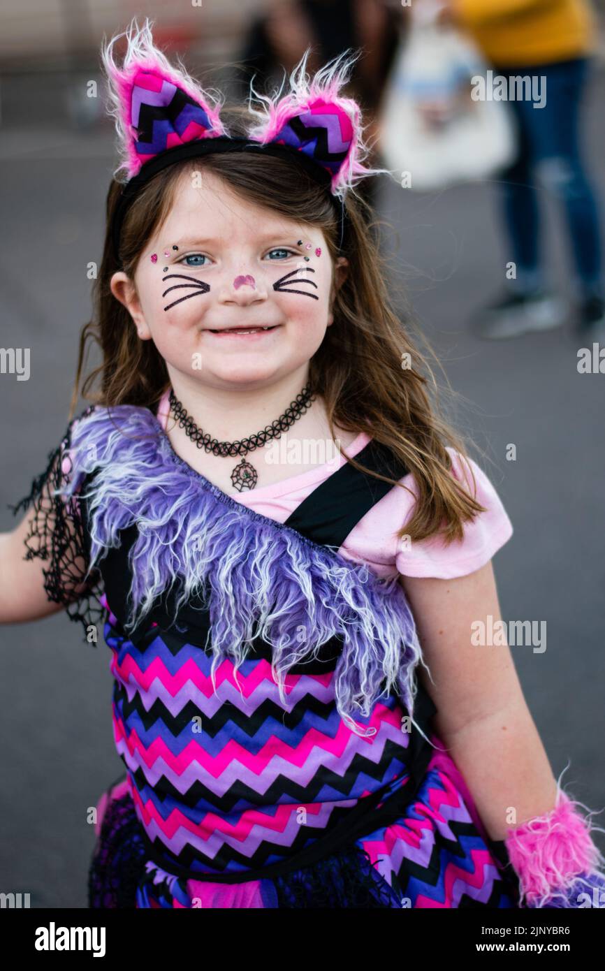 American girl wearing a kitty costume at a Halloween party in Fountain Hills, Arizona. Stock Photo