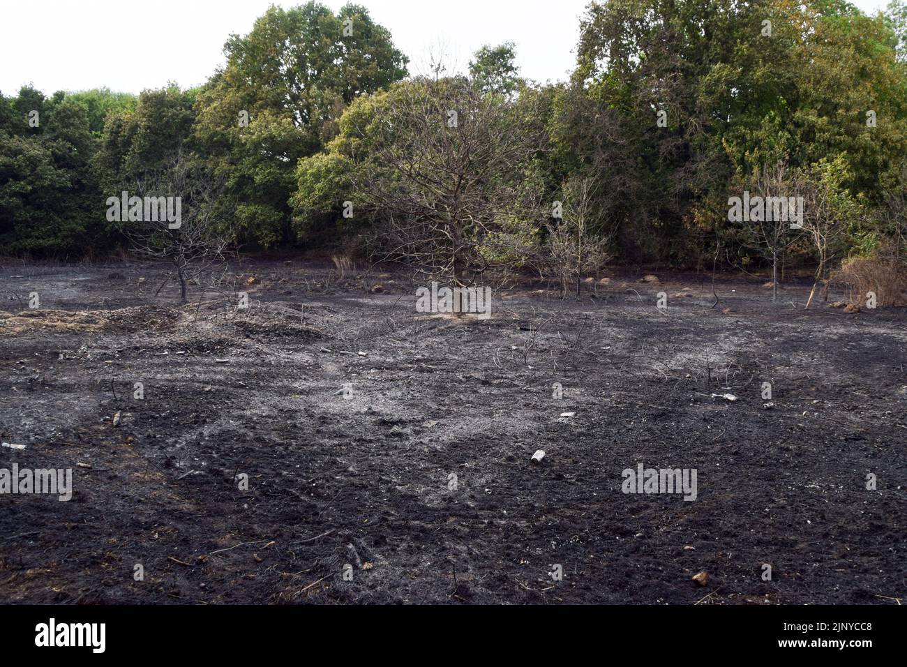 London, UK. 14th August 2022. The aftermath of a grass fire in Enfield