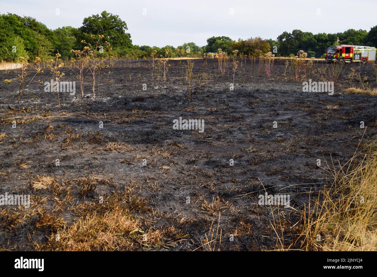 London, UK. 14th August 2022. The aftermath of a grass fire in Enfield