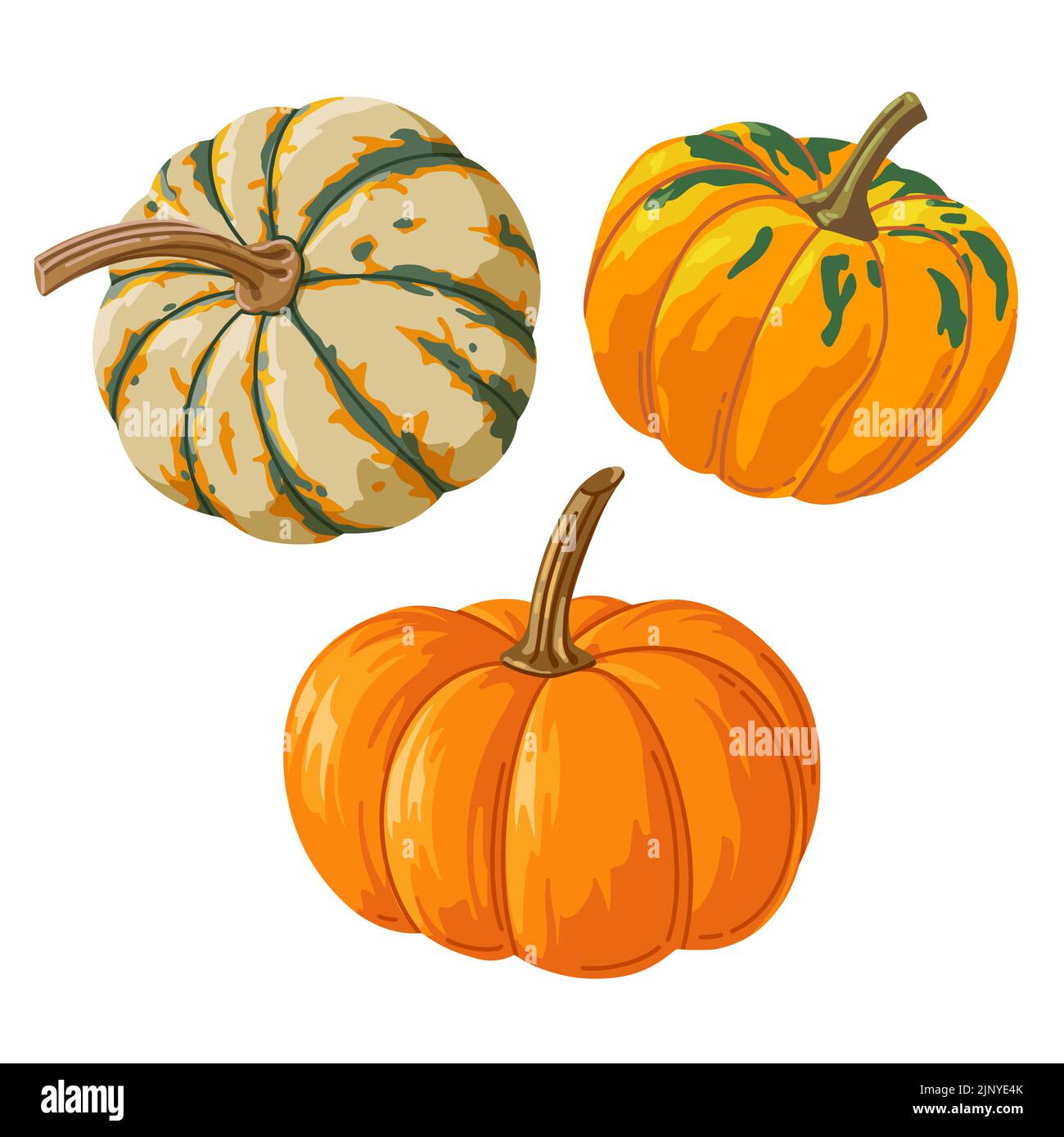 Bright set of realistic different pumpkins for printing and design. Vector illustration. Stock Vector