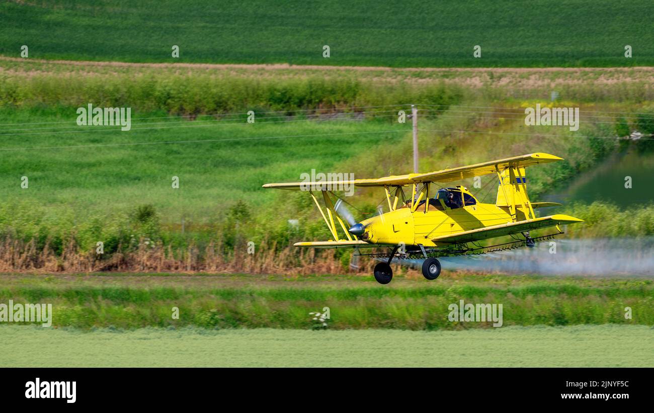 Pilot flies a crop duster and treats farm fields Stock Photo