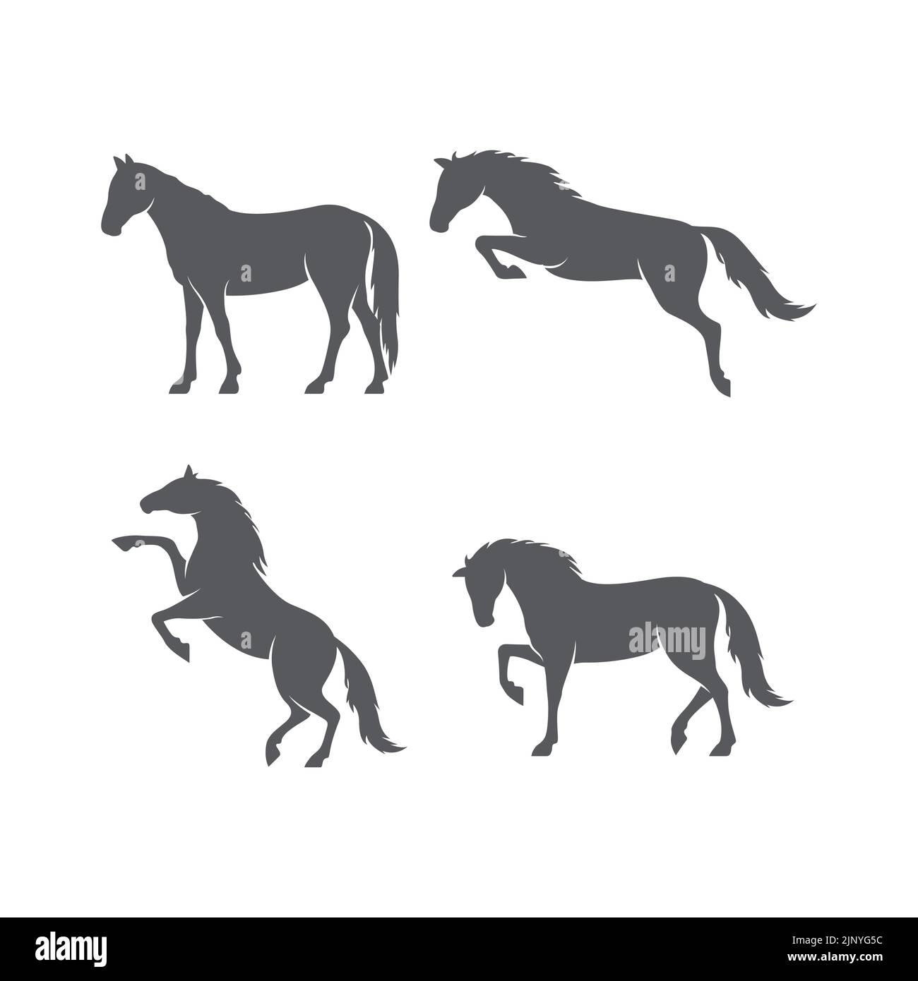Set of Horse realistic silhouette logo design. Horse pictogram. Side view of horse design pack. Vector illustration Stock Vector