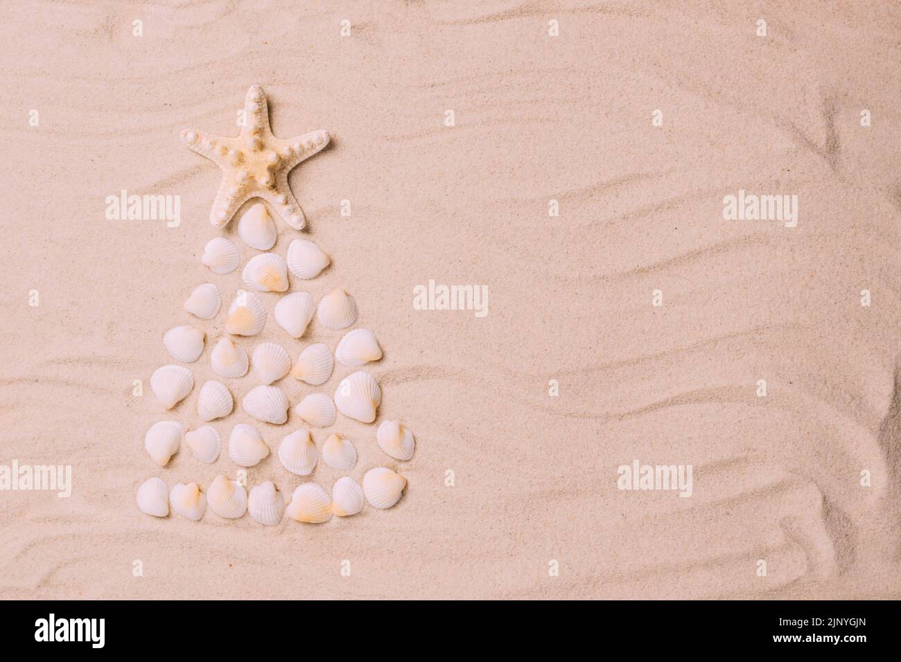 Creative Christmas tree made of shells background of sea sand. Concept