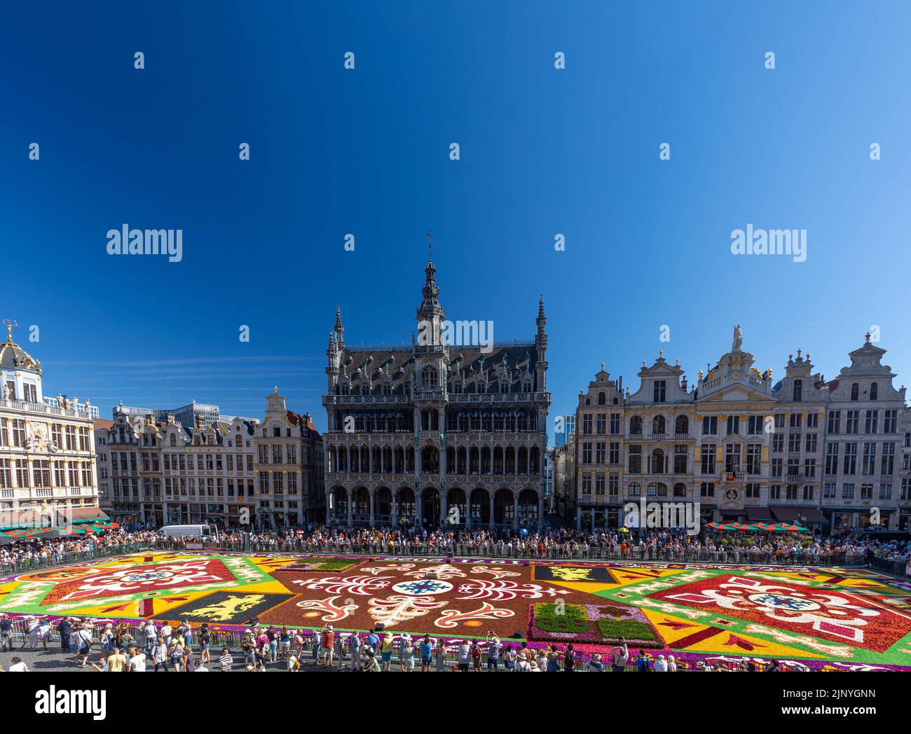 Flower carpet 2022 edition at Grand-Place of Brussels, Belgium Stock Photo