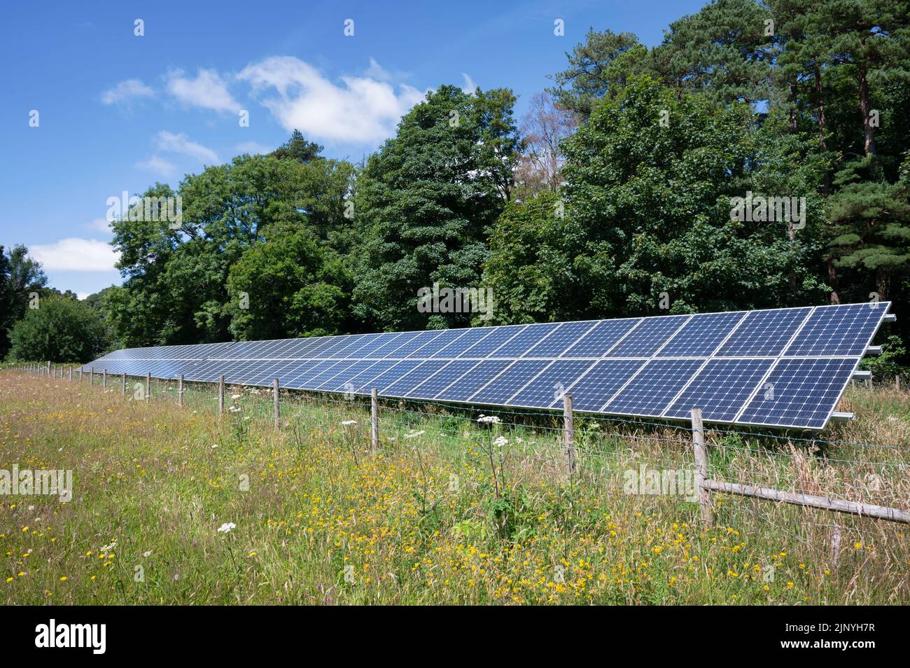 A row of solar panels installed in a rural field in the United Kingdom Stock Photo