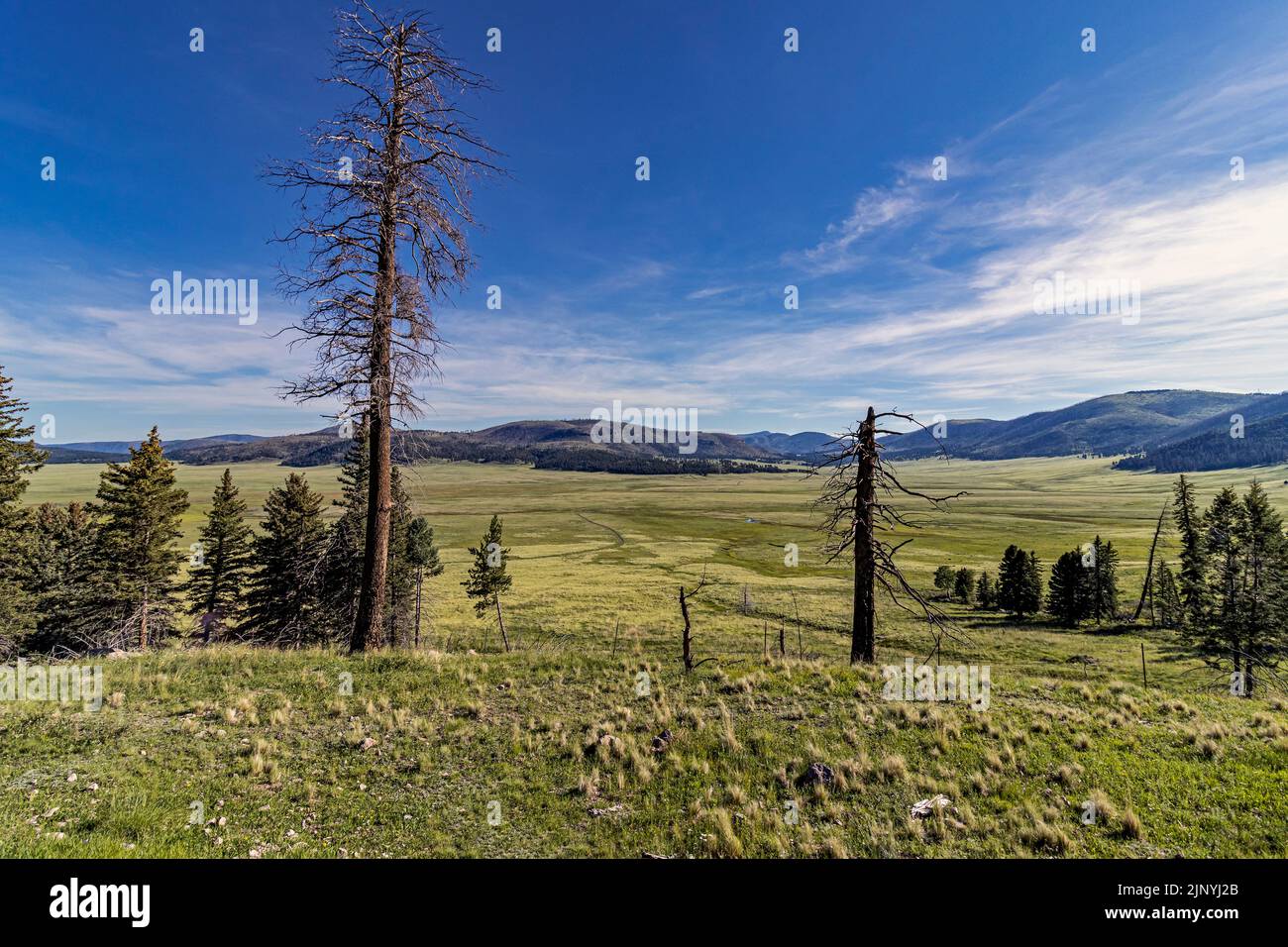 Landscape Image Of the Valles Caldera In New Mexico Stock Photo