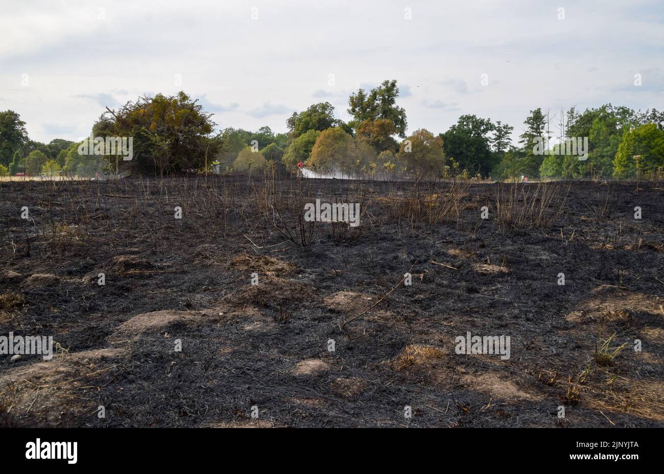 London, England, UK. 14th Aug, 2022. The aftermath of a grass fire in
