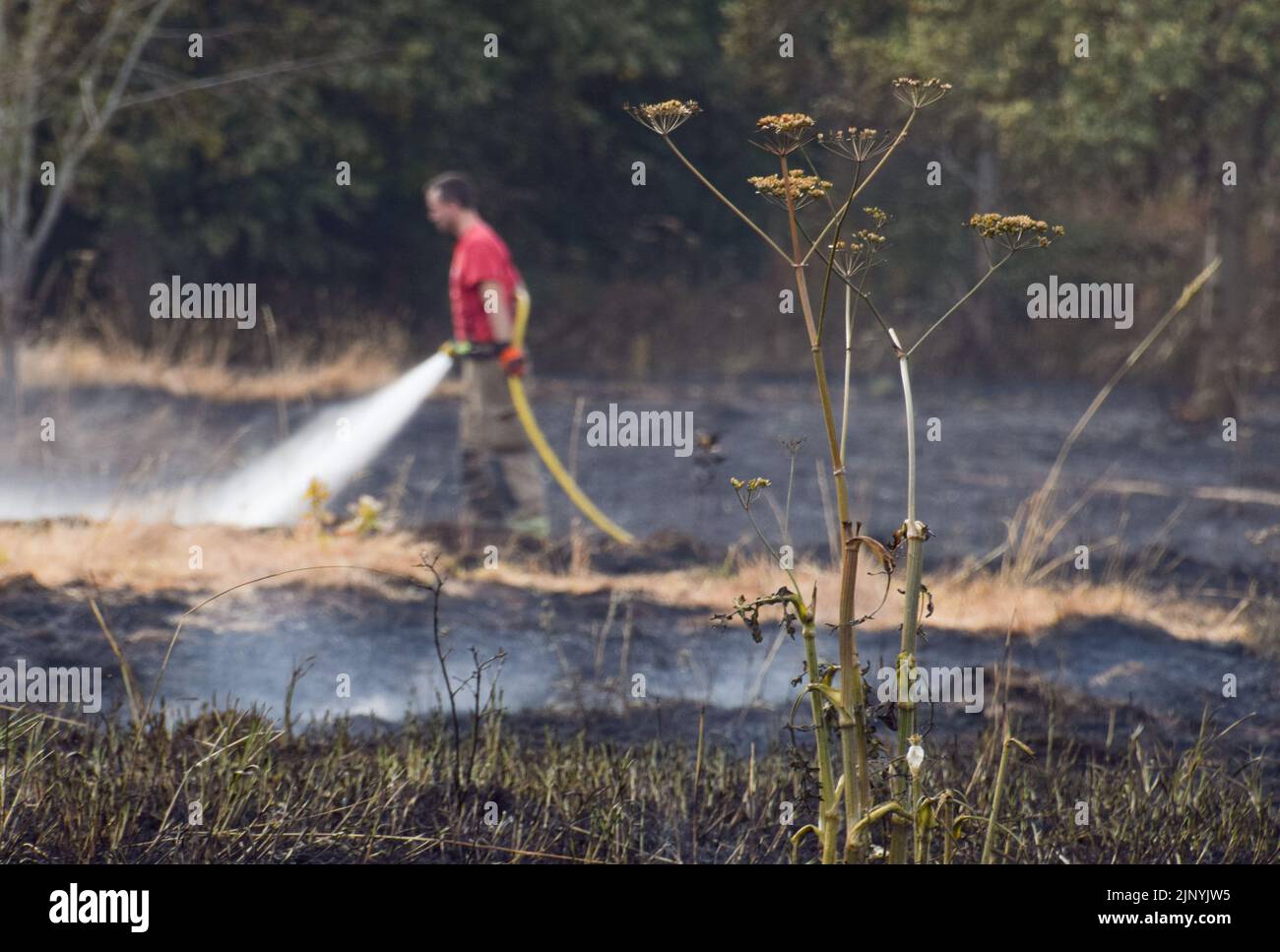 London, UK. 14th August 2022. London Fire Brigade on the scene of a