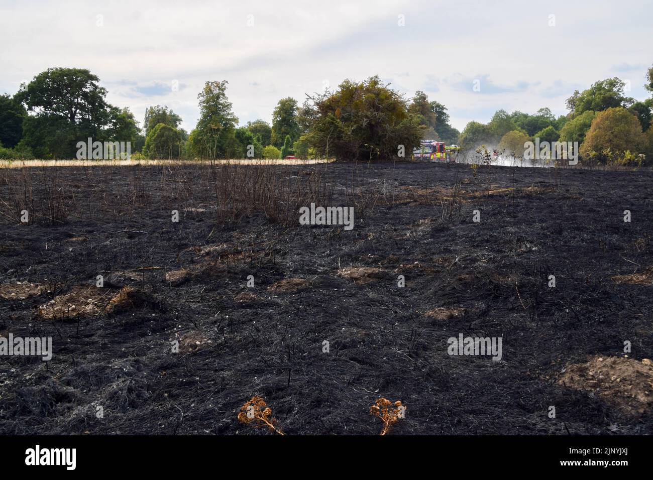 London, UK. 14th August 2022. London Fire Brigade on the scene of a
