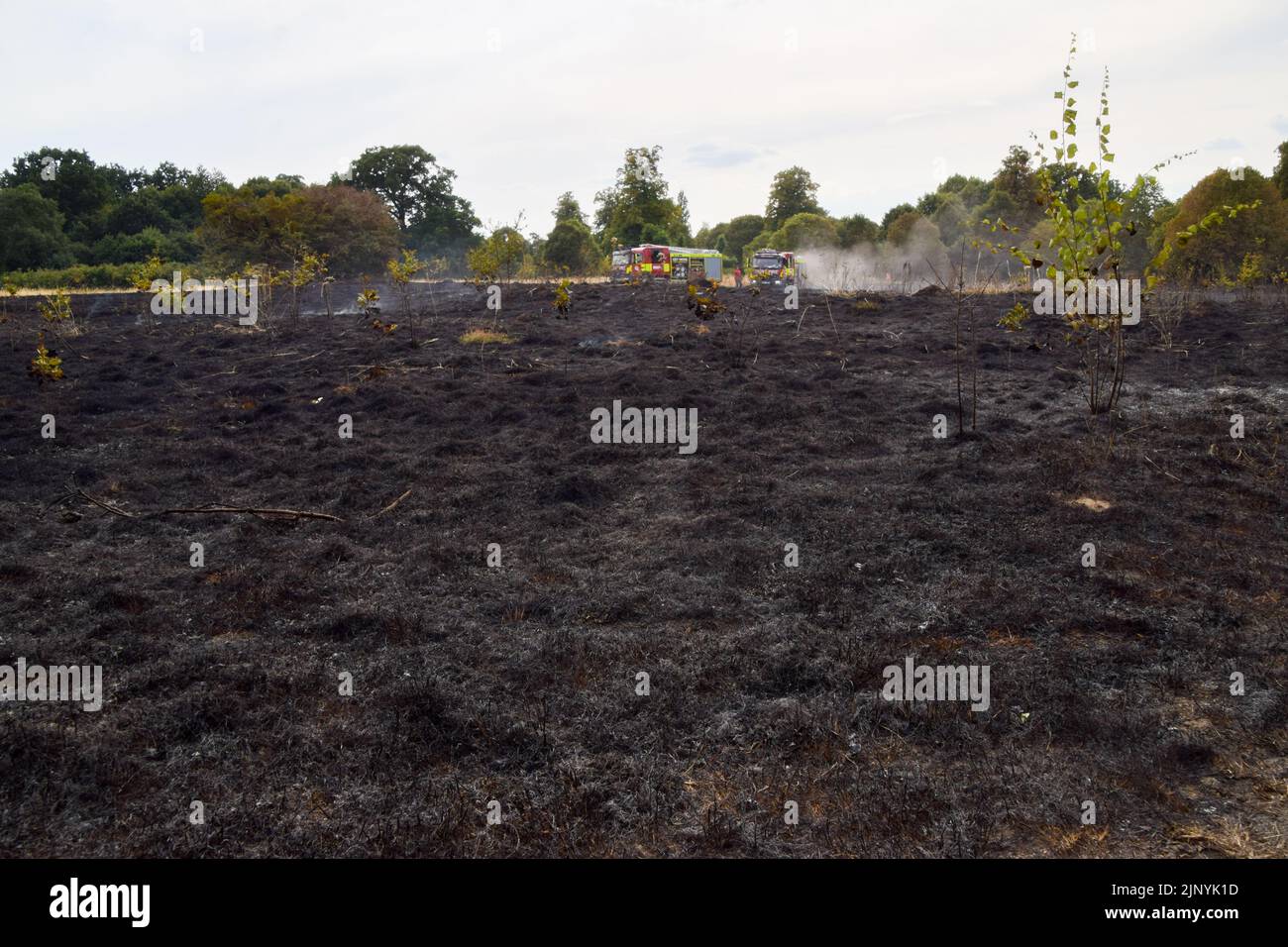 London, UK. 14th August 2022. London Fire Brigade on the scene of a
