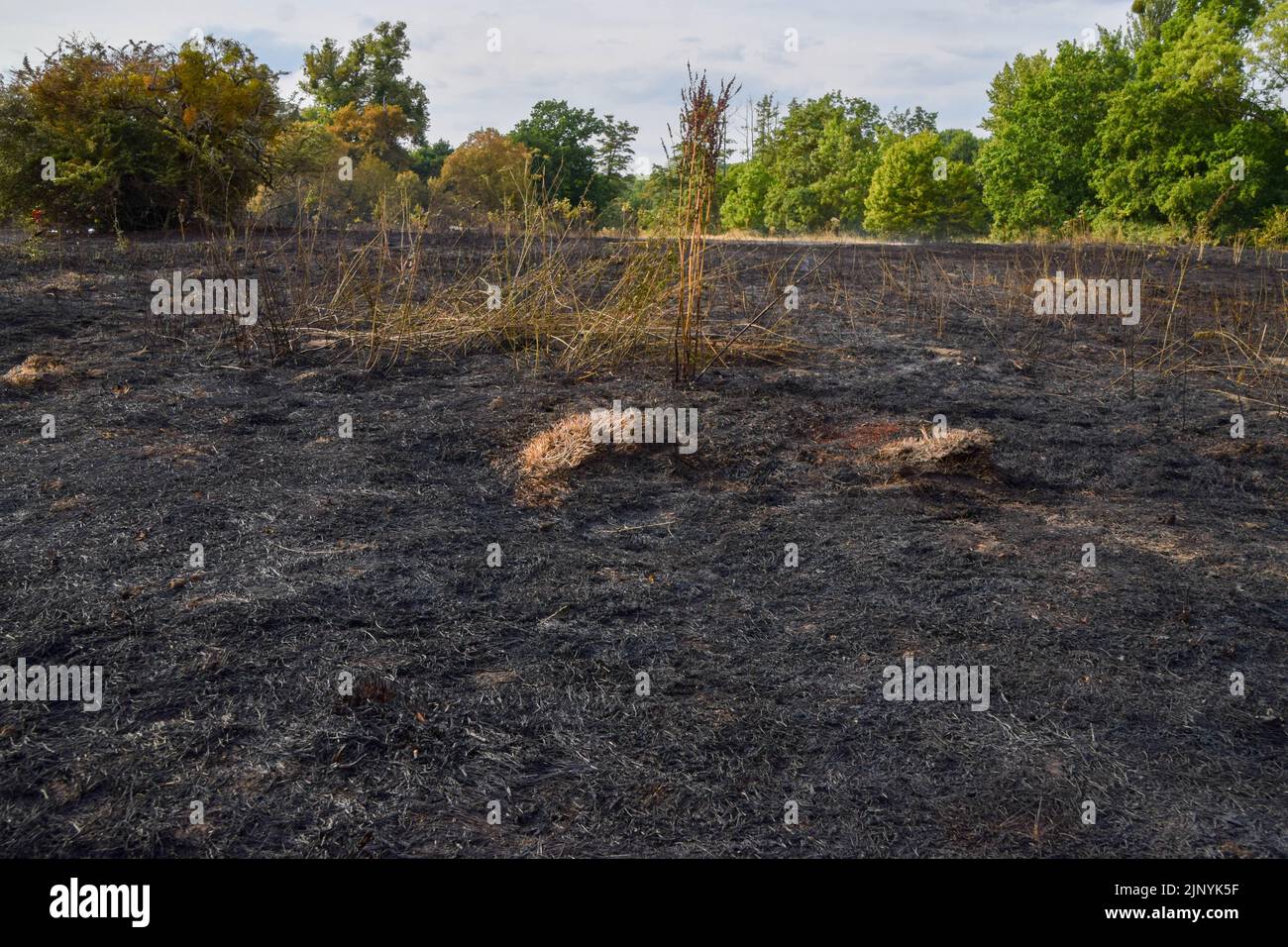 London, UK. 14th August 2022. The aftermath of a grass fire in Enfield