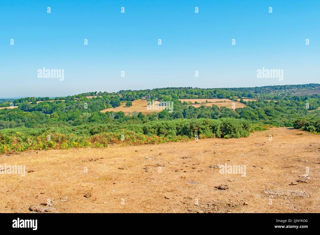 A view across Ashdown Forest England beautiful dry heathland colours and pathway on a bright summer day Stock Photo