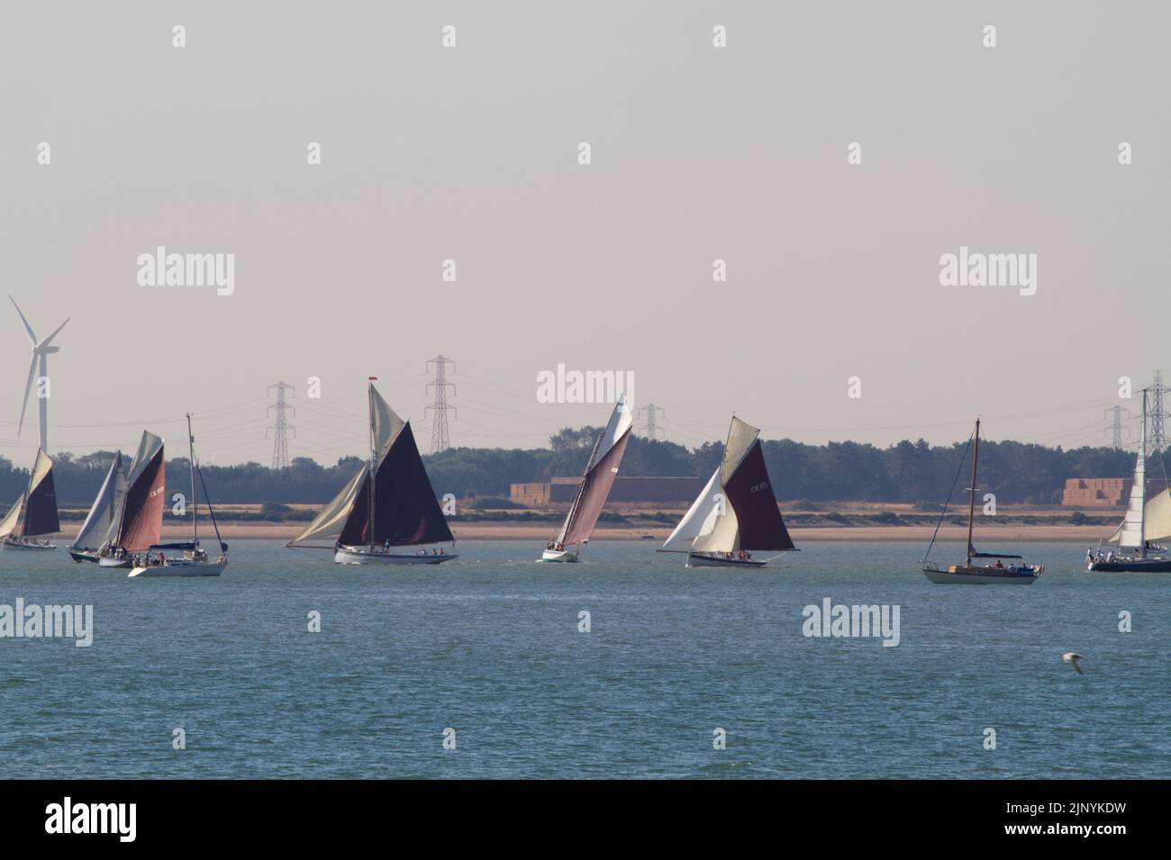 West Mersea regatta on Mersea Island in Essex. The regatta has been run almost continually since 1838 and is organised by volunteers. Sailing boats. Stock Photo
