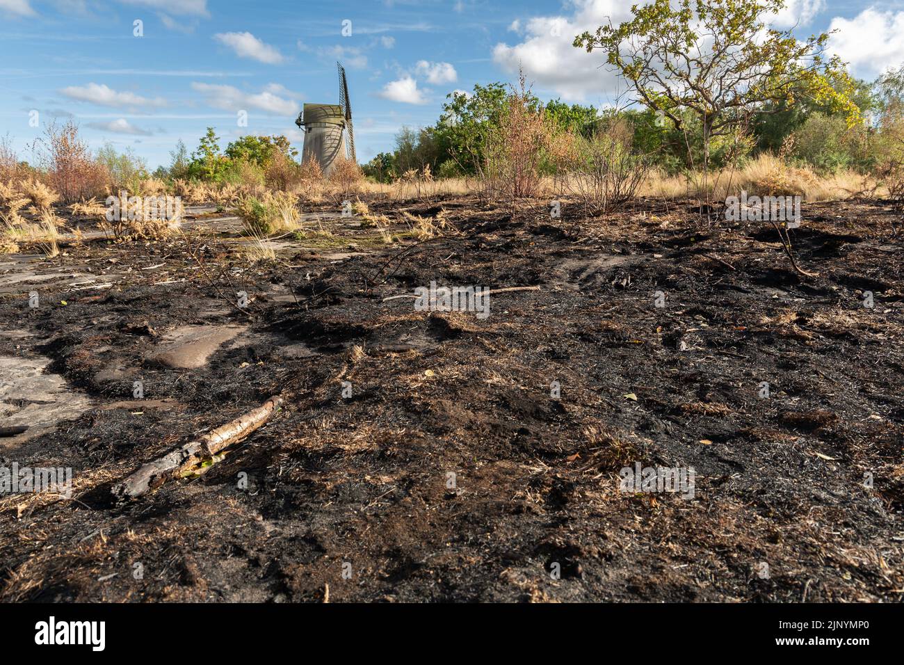Wirral, UK: Scorched earth and burned grassland after summer wild fires on Bidston Hill. Stock Photo