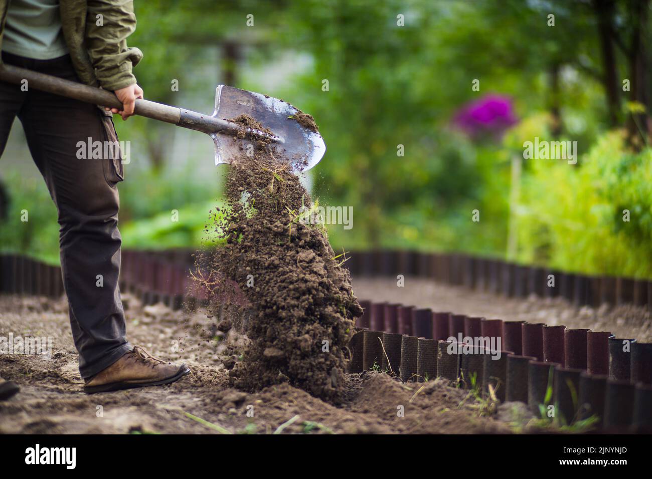 The farmer digs the soil in the vegetable garden. Preparing the soil