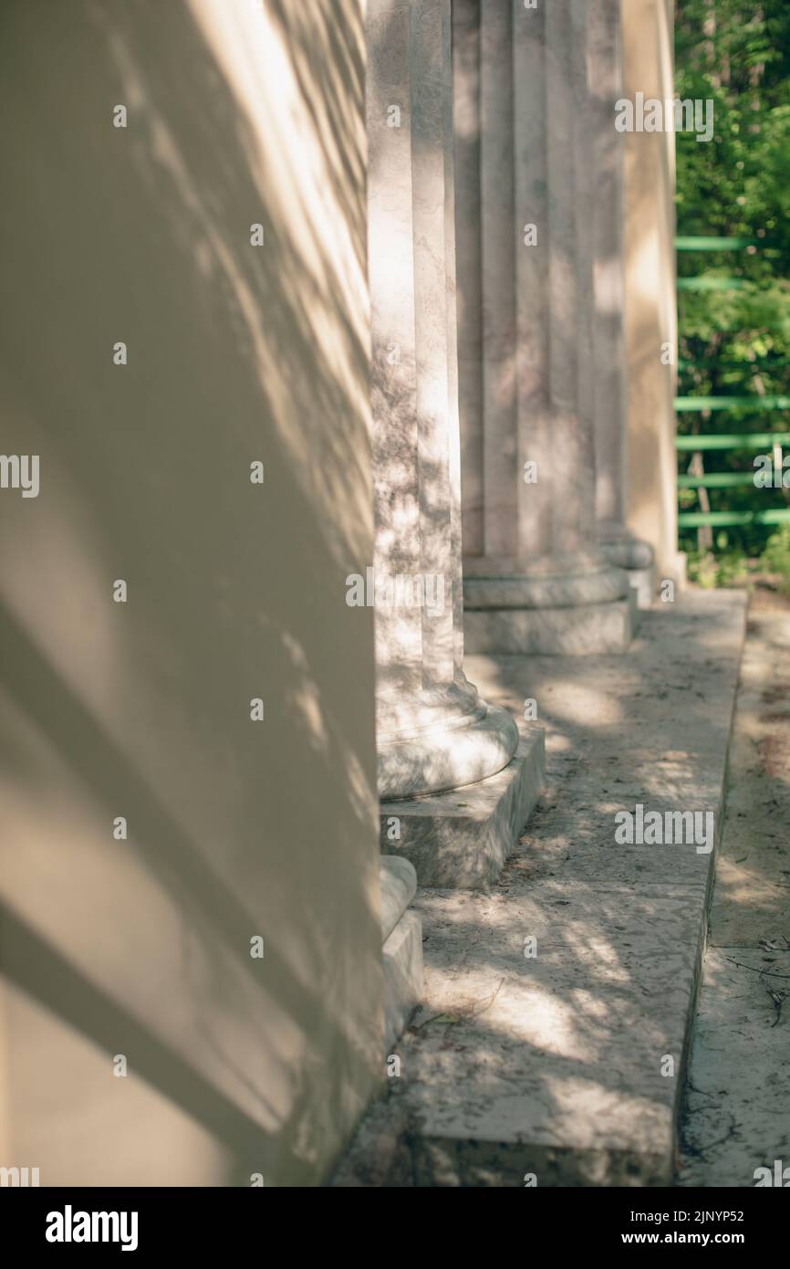 Shadows from trees on a plastered wall Stock Photo