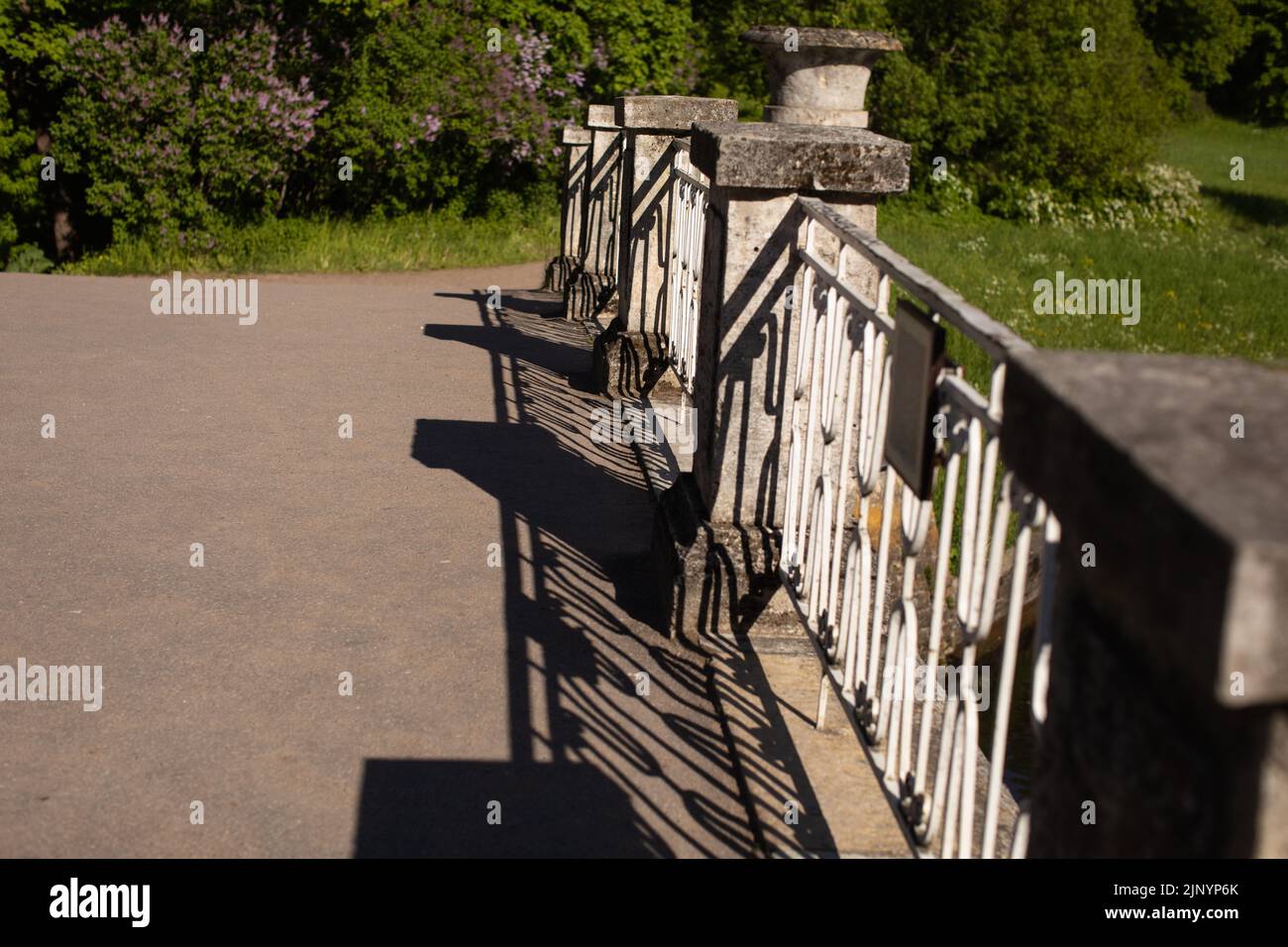 Shadows from trees on a plastered wall Stock Photo