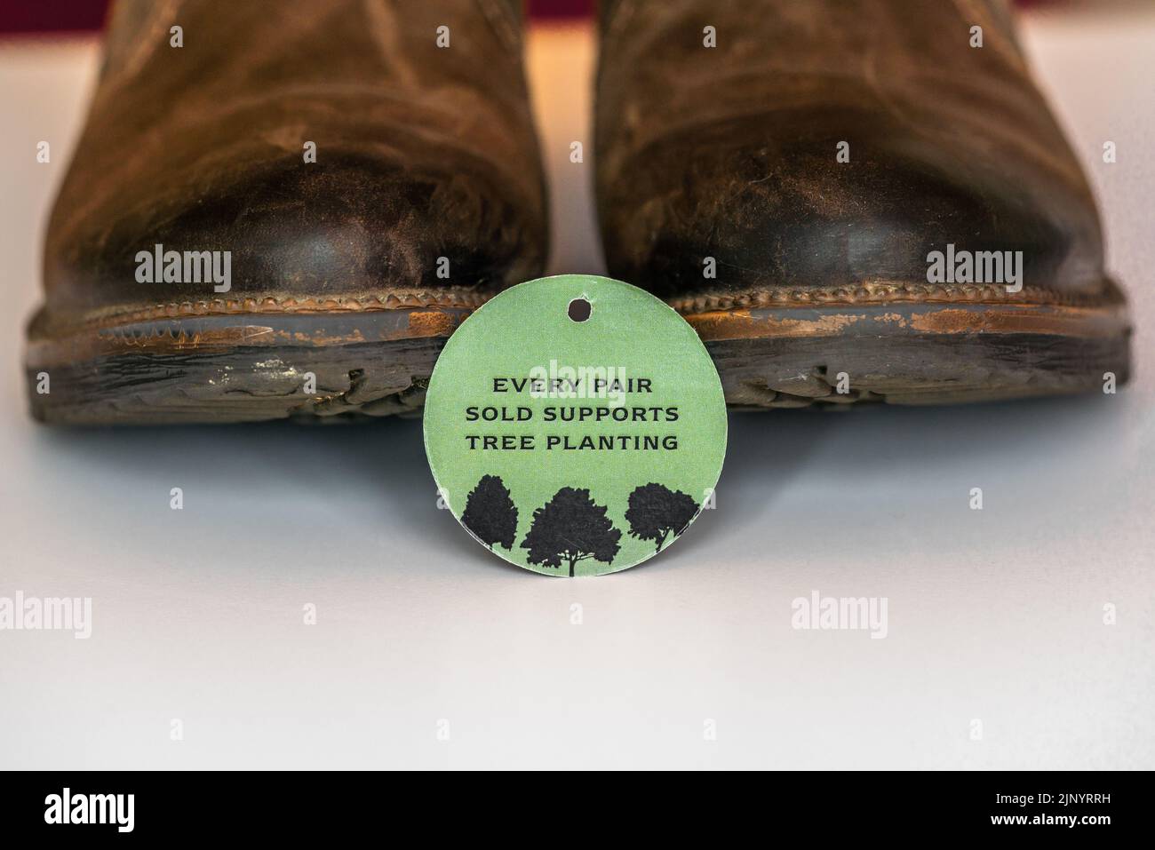 Every pair sold supports tree planting - green eco label on a pair of leather boots, sustainable fashion, UK Stock Photo
