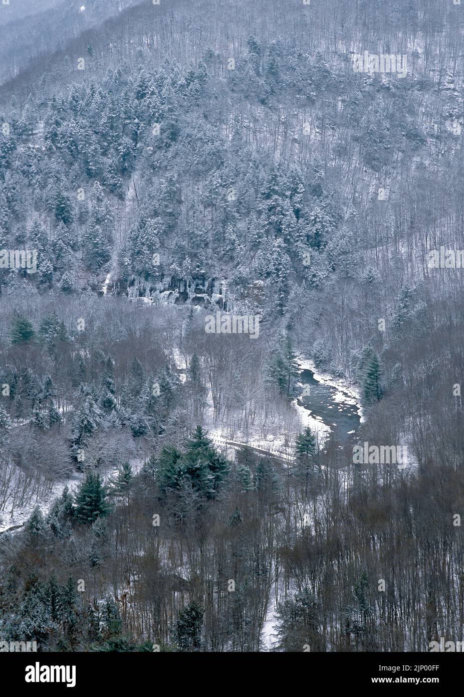 Loyalsock Creek Valley in winter from High Rock vista at Worlds End