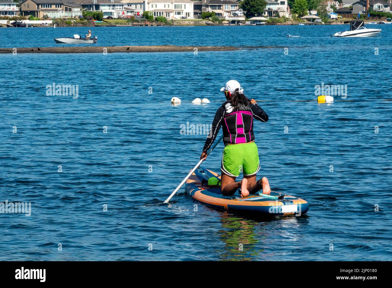 Issaquah, Washington, USA.  Woman kneeling on her paddleboard, paddling along in Lake Sammamish. Stock Photo