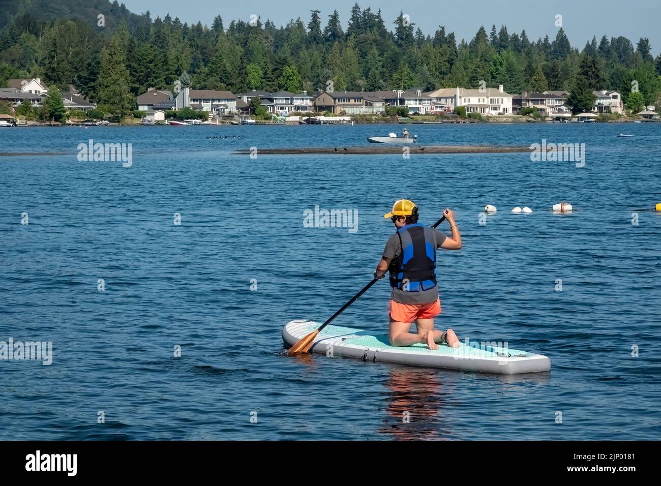 Issaquah, Washington, USA.  Woman kneeling on her paddleboard, paddling along in Lake Sammamish. Stock Photo