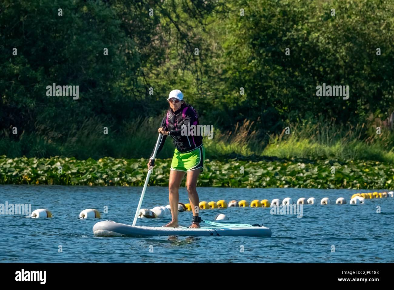 Issaquah, Washington, USA.  Woman standing up paddleboarding on Lake Sammamish. Stock Photo