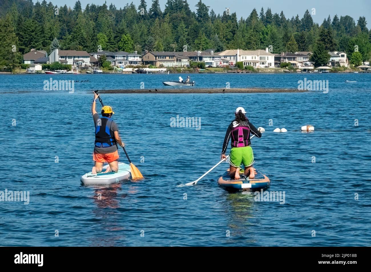 Issaquah, Washington, USA.  Two women kneeling on their paddleboards, chatting and paddling along in Lake Sammamish. Stock Photo