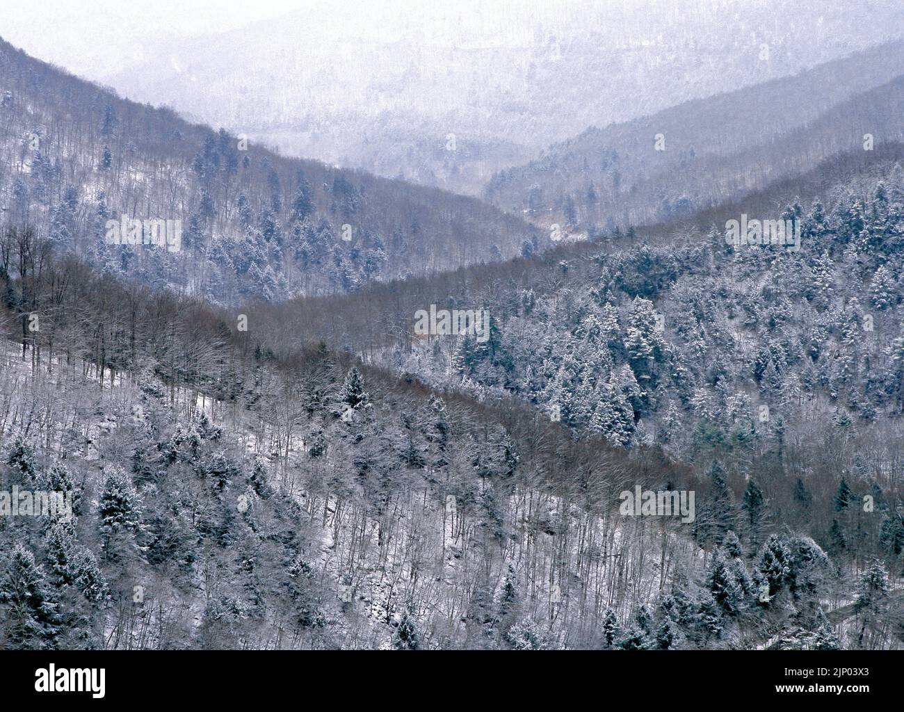 Loyalsock Creek Valley in winter from High Rock vista at Worlds End