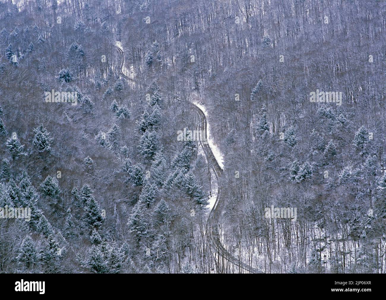 Loyalsock Creek Valley in winter from High Rock vista at Worlds End