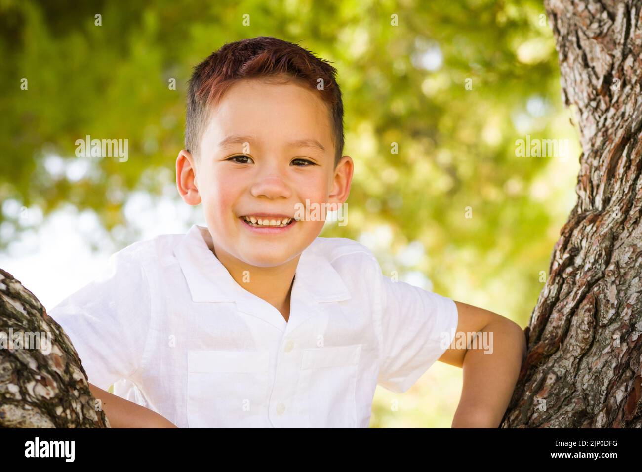 Outdoor portrait of a mixed race Chinese and Caucasian boy. Stock Photo