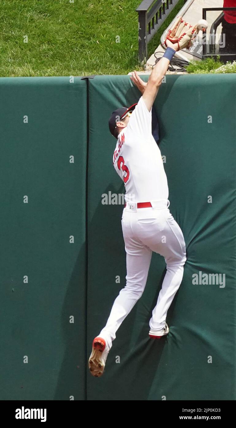 St. Louis, United States. 14th Aug, 2022. St. Louis Cardinals centerfielder Dylan Carlson cannot reach a two run home run ball off the bat of Milwaukee Brewers Hunter Renfroe in the second inning at Busch Stadium in St. Louis on Sunday, August 14, 2022. St. Louis defeated Milwaukee, 6-3. Photo by Bill Greenblatt/UPI Credit: UPI/Alamy Live News Stock Photo